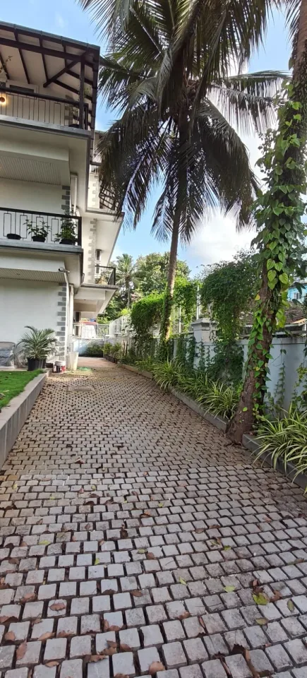Paved side driveway flanked by tropical palm trees and garden planters
