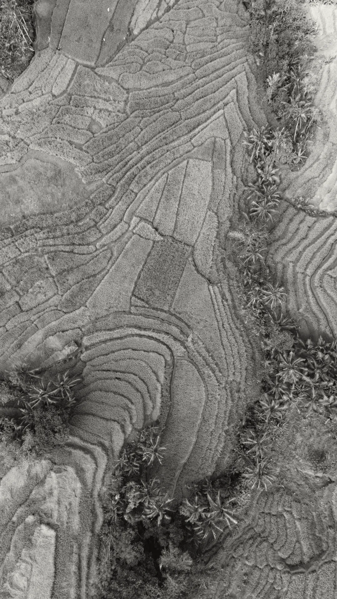 Farms